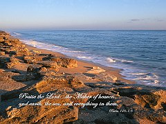 Psalm 146_1.6